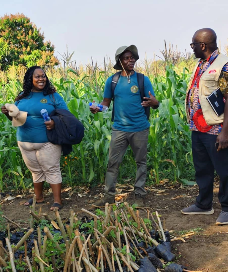 Agroecology training in Malawi