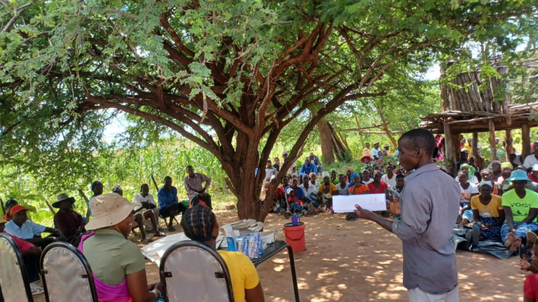 OFA and FSNZ Extend Organic Farming to Binga Youths